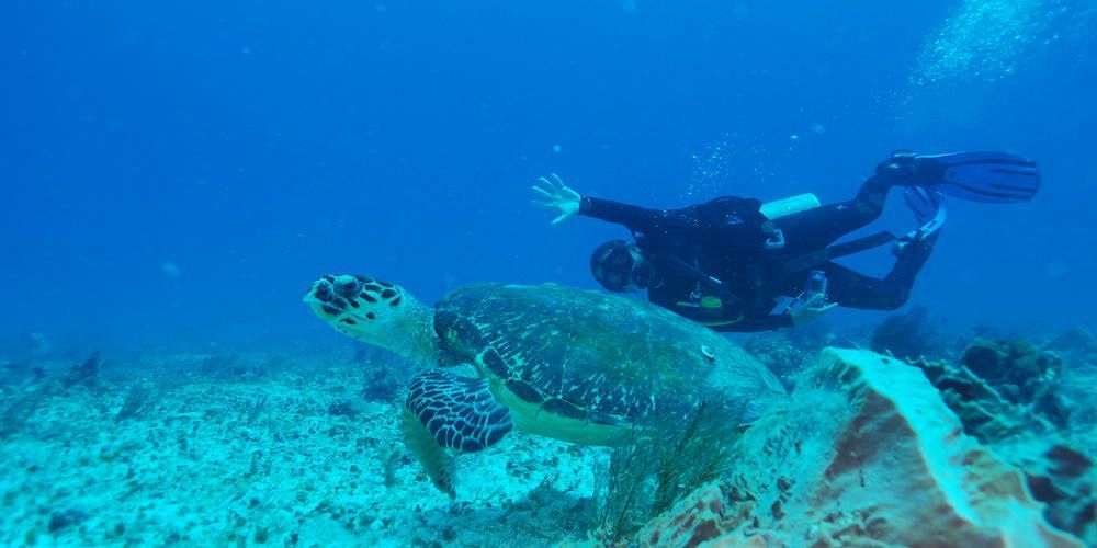 Yemaya Reefs, A Small Luxury Hotel Little Corn Island Buitenkant foto